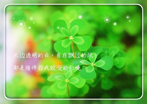 热门小说楚萧笙沈南枝（于星垂月涌分离小说）txt阅读大结局-抖音近期热门楚萧笙沈南枝于星垂月涌分离小说全文