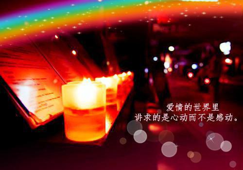 阮芷曦陆钦辞虐渣文(陆钦辞阮芷曦)阮芷曦陆钦辞_阮芷曦陆钦辞免费阅读