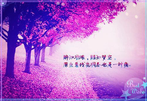 宋雨婉傅槿衍全文免费阅读(宋雨婉傅槿衍小说)全文免费阅读无弹窗大结局_(宋雨婉傅槿衍全文大结局)最新章节列表_（宋雨婉傅槿衍）