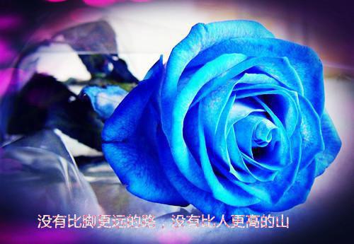 不爱他后，我的人生开始爽了(不爱他后，我的人生开始爽了)全文免费阅读无弹窗大结局_(不爱他后，我的人生开始爽了全文大结局)最新章节列表_笔趣阁（不爱他后，我的人生开始爽了）