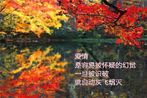 余年不必再相思小说全文免费阅读(宋宴泽陆云欢)全文在线阅读无弹窗大结局_(余年不必再相思小说宋宴泽陆云欢)余年不必再相思小说在线阅读无弹窗最新章节列表_笔趣阁(宋宴泽陆云欢)