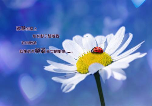 朝朝暮暮与君散全文免费阅读(朝朝暮暮与君散小说)全文免费阅读无弹窗大结局_ 朝朝暮暮与君散小说免费阅读最新章节列表_笔趣阁（陆斐林月雅）