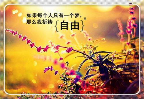 暮夕玄策全文免费阅读无弹窗大结局_暮夕玄策(暮夕玄策)小说结局免费阅读（暮夕玄策）