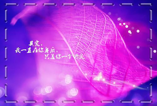 误入阿姨圈，我躺赢人生小说(苏阳杨夏）小说全文免费阅读无弹窗大结局_（误入阿姨圈，我躺赢人生小说）苏阳杨夏小说全文免费阅读最新章节列表_笔趣阁（误入阿姨圈，我躺赢人生小说）