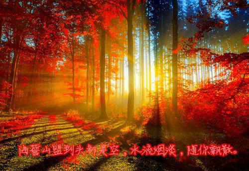 小鬼送财全文免费阅读(小鬼送财小说)全文免费婉婷小羽阅读无弹窗大结局_ (婉婷小羽)小鬼送财小说免费婉婷小羽阅读无弹窗最新章节列表_笔趣阁（小鬼送财小说）