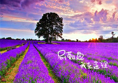 孟怜清楚元崤（孟怜清楚元崤）全文在线阅读无弹窗大结局_（孟怜清楚元崤在线阅读）最新章节列表_笔趣阁