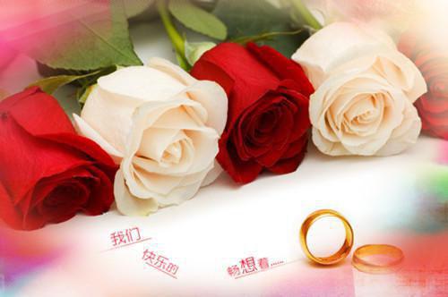 江静婉宁越彬免费阅读无弹窗大结局-江静婉宁越彬（江静婉宁越彬最新全章节大结局）全文阅读