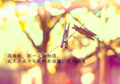盛今昭骆以怀小说(盛今昭骆以怀)（盛今昭骆以怀）前传+阅读全新作品预订