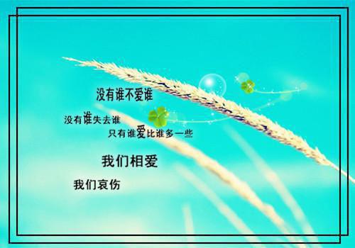 一口气读完畅销 陈安禾江述白小说（陈安禾江述白）全文浏览_一口气读完畅销 陈安禾江述白小说全文浏览