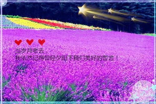 邪王缠上身神医毒妃不好惹免费阅读(战北寒萧令月)全文免费阅读_邪王缠上身神医毒妃不好惹()全文阅读_笔趣阁（战北寒萧令月）