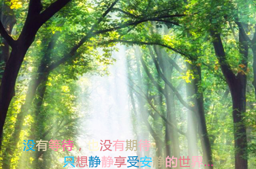 余戈萧澈(寻仙嫁）全文免费阅读无弹窗大结局_余戈萧澈最新章节列表_笔趣阁（余戈萧澈）