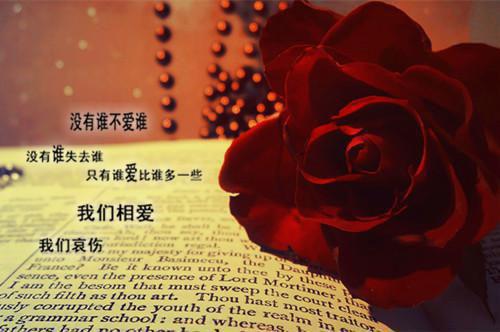 腹黑相公美如花小说全文免费阅读无弹窗大结局_（腹黑相公美如花）腹黑相公美如花叶清清沈从安免费阅读最新章节列表笔趣阁（叶清清沈从安）