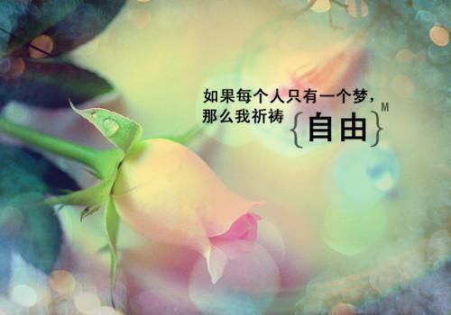 茶花搅事小说全文免费阅读(瑞瑞)全文在线瑞瑞读无弹窗大结局_(茶花搅事小说瑞瑞)茶花搅事小说在线瑞瑞读无弹窗最新章节列表_笔趣阁(瑞瑞)