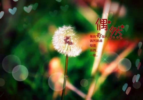 橙子炮灰全文免费阅读（橙子炮灰小说）全文在线唐浅浅裴延读无弹窗大结局_（唐浅浅裴延全文在线唐浅浅裴延读无弹窗）橙子炮灰小说最新章节列表_笔趣阁（唐浅浅裴延）