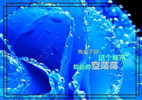 宁芸梦徐少淮（徐少淮宁芸梦）笔趣阁免费小说_宁芸梦徐少淮笔趣阁最新章节徐少淮宁芸梦免费在线阅读大结局