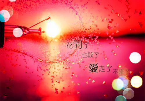 陆青云重生官场（陆青云林若岚）全文免费阅读无弹窗_陆青云重生官场最新章节列表-笔趣阁（陆青云林若岚）
