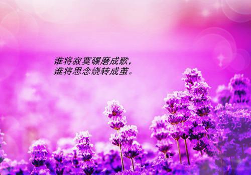 洛韫封野（洛韫封野）全文免费阅读无弹窗大结局_洛韫封野全文免费阅读（洛韫封野）最新章节列表_笔趣阁（洛韫封野）
