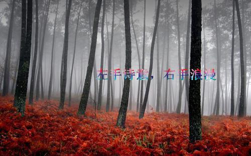 坠落于死亡游戏间小说（白岑裴之钦）全文免费阅读结局 坠落于死亡游戏间强推全文阅读无弹窗