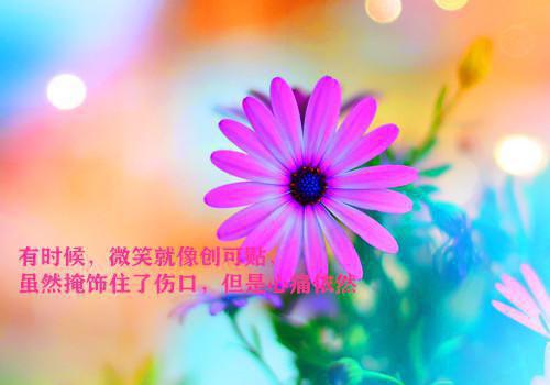八零大院首长追妻火葬场全文免费阅读(八零大院首长追妻火葬场小说)全文免费阅读无弹窗大结局_ 八零大院首长追妻火葬场小说免费阅读最新章节列表_笔趣阁（宋亦曼段北城）