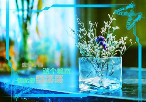 苏佳凝蒋韩烨书名是《苏佳凝蒋韩烨》在线赏析_苏佳凝蒋韩烨txt小说阅读