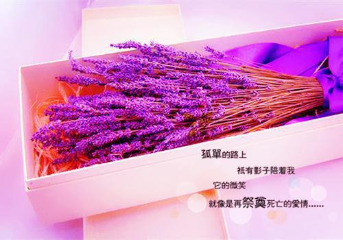 喻宁傅钦无弹窗阅读（喻宁傅钦无弹窗阅读）全文免费阅读无弹窗大结局_(喻宁傅钦无弹窗阅读后续大结局)喻宁傅钦无弹窗阅读最新章节列表_笔趣阁（喻宁傅钦无弹窗阅读）