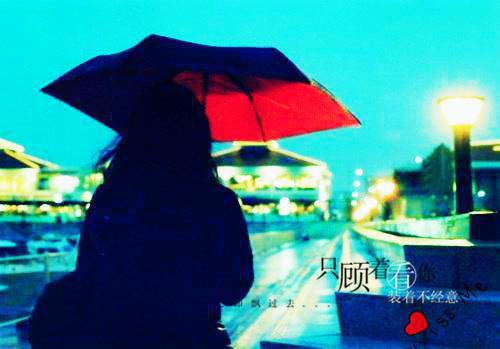 沈卿霍风（沈卿霍风全文）全文免费阅读无弹窗大结局_沈卿霍风全文免费阅读_笔趣阁（沈卿霍风全文）