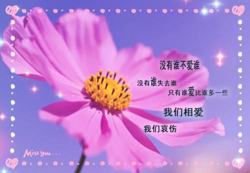 白清苑高豫(皇城厂公太撩人)全文在线皇城厂公太撩人读无弹窗大结局_(白清苑高豫皇城厂公太撩人)白清苑高豫在线皇城厂公太撩人读无弹窗最新章节列表_笔趣阁(皇城厂公太撩人)