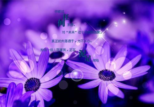 宋知慧沈君桦全文免费阅读（重生七零团长追妻路迢迢小说）全文在线阅读无弹窗大结局_(宋知慧沈君桦重生七零团长追妻路迢迢小说小说在线阅读)最新章节列表_笔趣阁（宋知慧沈君桦）