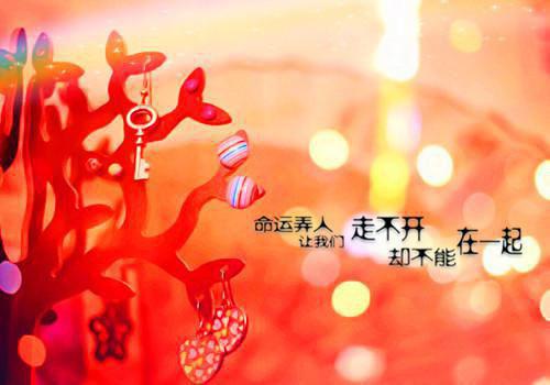 江渝风温辞溪温辞溪江渝风完整全文在线阅读温辞溪江渝风抖音热推小说全集无删减