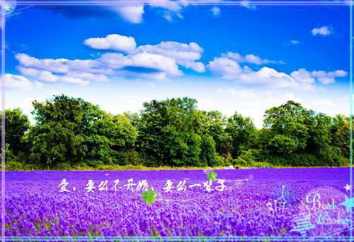 秦暮声程杳全文免费阅读小说（程杳秦暮声小说免费阅读）秦暮声程杳全文免费阅读_（程杳秦暮声小说免费阅读）最新章节列表