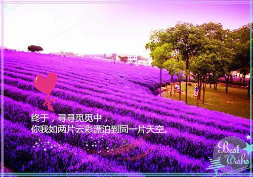 全章节完整《云锦齐修言》全文阅读《云锦齐修言》