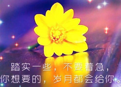 叶辛夷谢祈煜后续结局叶辛夷谢祈煜完结版全章节阅读
