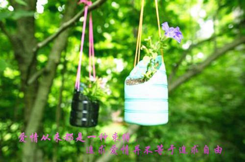 等到情尽才说爱盛博川孟晓璇小说全文免费盛博川孟晓璇无弹窗大结局_(等到情尽才说爱盛博川孟晓璇)盛博川孟晓璇最新章节列表笔趣阁（等到情尽才说爱盛博川孟晓璇）