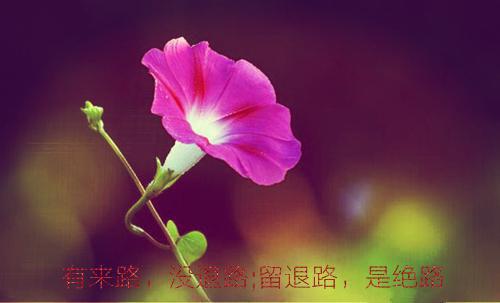 我有十个姨太（沈子清）全文免费阅读无弹窗大结局_ 我有十个姨太（沈子清）最新章节列表_笔趣阁（沈子清沈浩）