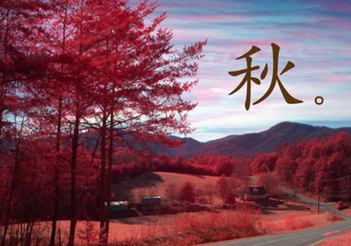 春天过客全文免费阅读(春天过客小说)全文免费宋清菡顾西风读无弹窗大结局_ (宋清菡顾西风)春天过客小说免费宋清菡顾西风读无弹窗最新章节列表_笔趣阁（春天过客小说）