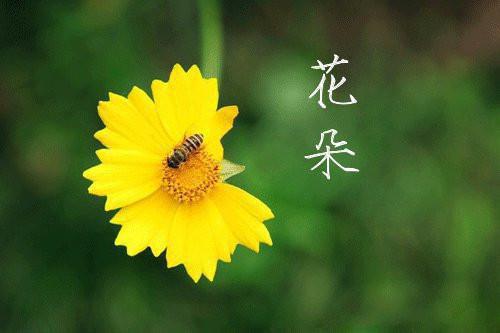 反套路爱我(林漫周杨)全文免费阅读无弹窗大结局_林漫周杨(反套路爱我)免费在线阅读_笔趣阁（林漫周杨）