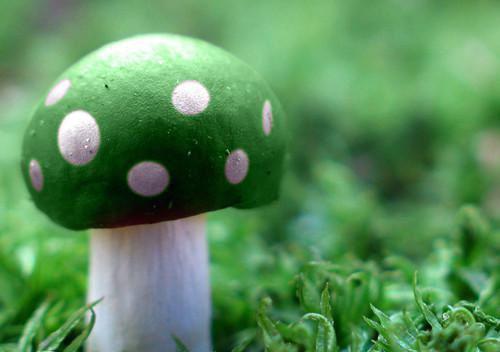 花柒重黎花柒重黎小说-花柒重黎小说免费阅读