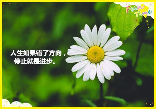 舒可星周牧辰最新章节（舒可星周牧辰免费阅读）-舒可星周牧辰小说在线阅读完整版
