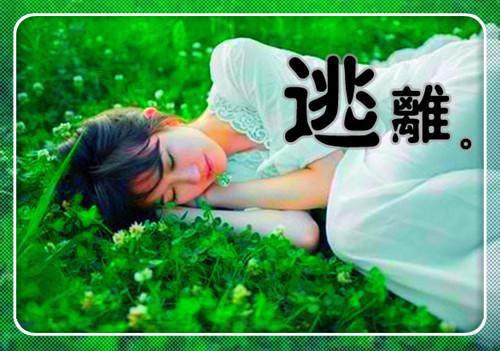 七年爱意将就小说(孟穗宁何律言）小说全文免费阅读无弹窗大结局_（七年爱意将就小说）孟穗宁何律言小说全文免费阅读最新章节列表_笔趣阁（七年爱意将就小说）