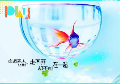 (番外)+(全文)《清风易散难相爱》(周昱深沈心颜)最新章节免费在线阅读_《清风易散难相爱：结局+番外+小说》周昱深沈心颜全本小说阅读