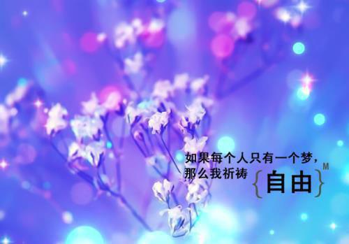 我死后妻子把仿生机器人当成我已完结小说热门（姜幼夏沈景泽）完结版全文小说在线阅读_我死后妻子把仿生机器人当成我已完结最新章节列表（我死后妻子把仿生机器人当成我已完结）
