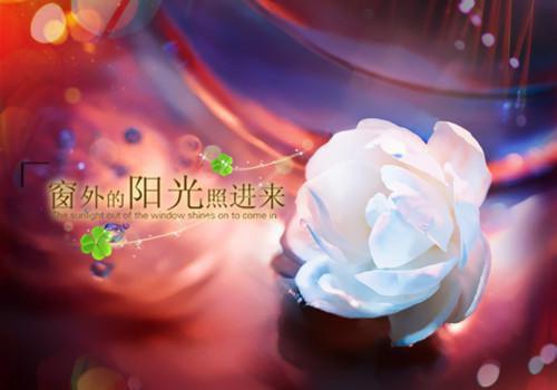 温知羽霍司砚律师全文免费阅读_（温知羽霍司砚律师免费阅读无弹窗）温知羽霍司砚律师最新章节列表笔趣阁（温知羽霍司砚律师）