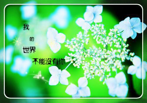 烤爱吃肉菇锅小的火蘑的小说婚破击碎中反姻的匿名全文阅读