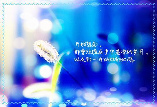 林峰宁欣官场（宁欣林峰)小说最新章节在线阅读-林峰宁欣官场（林峰宁欣官场）已完结全集大结局