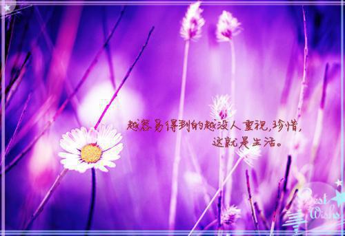 [完结]王妃有喜楚莞萧均枫全章节阅读