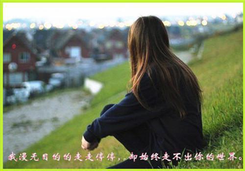 2023最新更新热门榜单小说姜璎陆商昶-姜璎陆商昶全文无弹窗免费阅读大结局