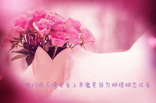 完结版小说江绾禾沈毅清全文第12章阅读