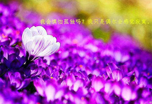 霍太太她又软又萌（温知羽霍司砚）全文免费阅读无弹窗大结局_温知羽霍司砚小说（霍太太她又软又萌免费阅读）最新章节列表笔趣阁（霍太太她又软又萌）