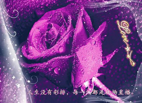 (爆火全本)我服婚役后，帝君他四海八荒抢新娘：结局+番外+完结全文（清瑶昊天泽靳雪瑜）在线完结版小说阅读_我服婚役后，帝君他四海八荒抢新娘：结局+番外+完结全本列表免费笔趣阁（清瑶昊天泽靳雪瑜）