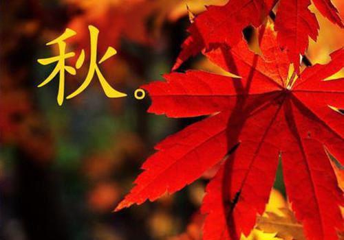 萧玥萧琪全文免费阅读（名媛培训班）全文免费萧玥萧琪无弹窗大结局_（名媛培训班萧玥萧琪）名媛培训班最新章节列表_笔趣阁（萧玥萧琪）